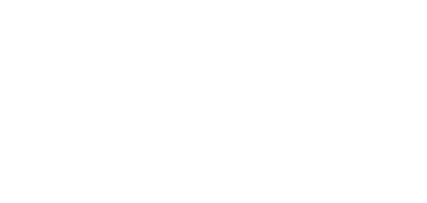 Player united